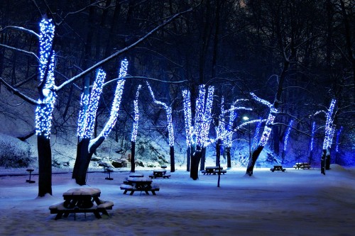 lights (7).jpg (254 KB)